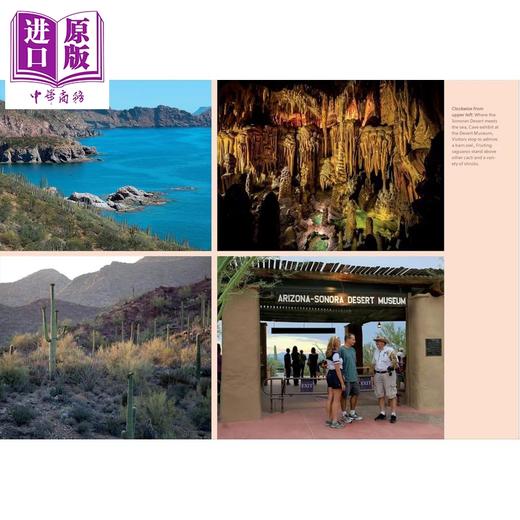 【中商原版】索诺拉沙漠自然探险指南 The Sonoran Desert Explorer 英文原版 Arizona-Sonora Desert Museum 商品图3