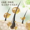 【25元会员福利】澳雪小黄姜发芯润养护发精油75ml    商品缩略图3