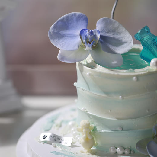 水瓶座灵感蛋糕[梦中的自由诗]1.5磅香草奶油芒果夹心口味 | 左羊 商品图5