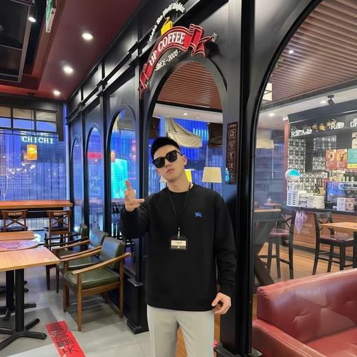 F012225胸前战马刺绣logo两色情侣款圆领卫衣 商品图3