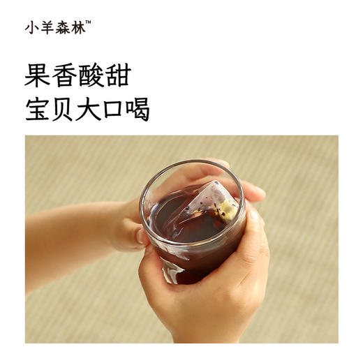 「清见茶·蓝莓桑菊饮」古方复配 润泽双眼 温和无负担 商品图2