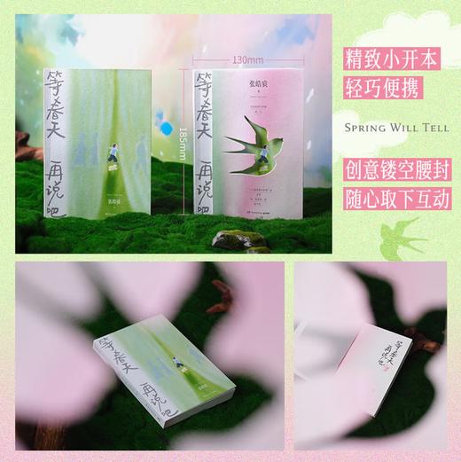 等春天再说吧（ 张皓宸2025全新随笔集。用日常微光对抗必须立刻有答案的无力与焦虑。别催了，有些事，等春天再说吧） 商品图5