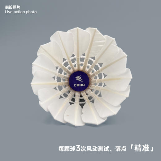 飞羽 羽毛球 训练级 优质鸭毛 紫羽-C800 商品图4