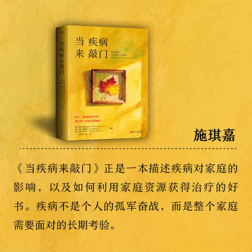 当疾病来敲门：病人、家属和治疗师是如何一起应对疾病的 商品图9