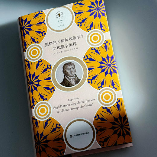 黑格尔《精神现象学》的现象学阐释 快与慢文丛 精装 商品图4