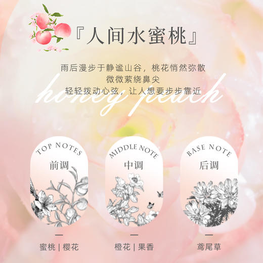 南堡洗衣凝珠(蜜桃味)300g(50颗)*4 商品图4