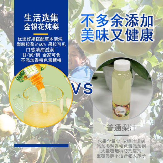 【生活选集】金银花炖梨 10袋装 商品图4