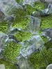 合作| （半熟）豌豆粒 250g  产地：云南楚雄 商品缩略图1