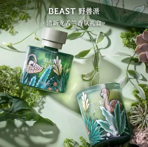 【周末秒杀 直接调价 下单即可】野兽派 过年 香薰礼盒 送礼，年货，抽奖，都是相当高端又有品位的选择哈 商品图13