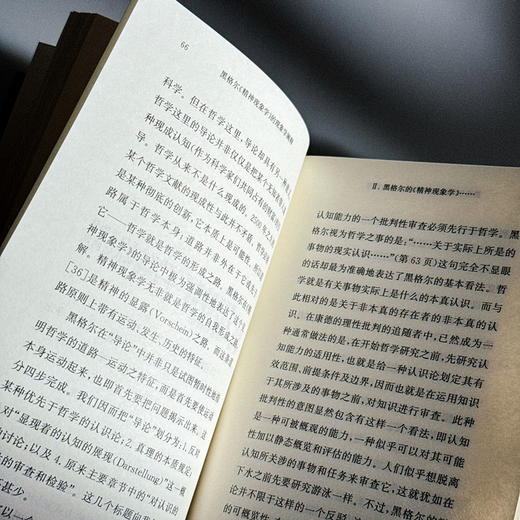黑格尔《精神现象学》的现象学阐释 快与慢文丛 精装 商品图10