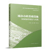 城市市政基础设施灰绿协同理论与实践 商品缩略图0