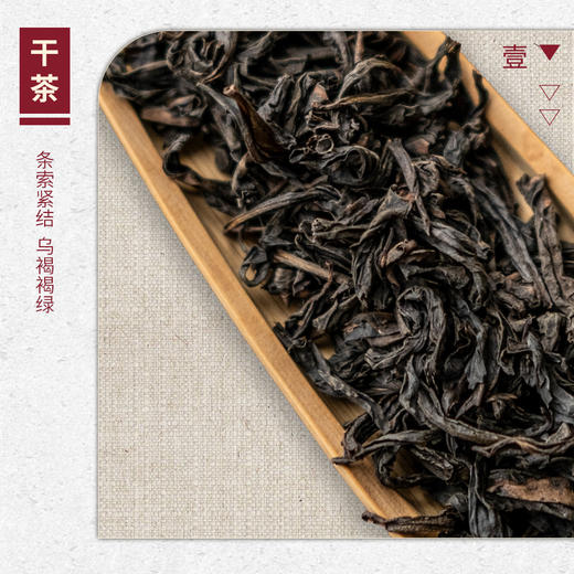 【山纯限品】2026年043玉华洞四角岩老枞水仙17g 商品图2