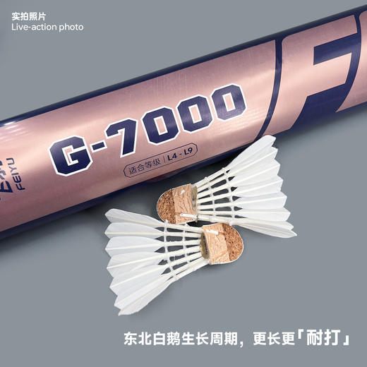 飞羽 羽毛球 比赛级 优质鹅毛 金羽-G7000 商品图4
