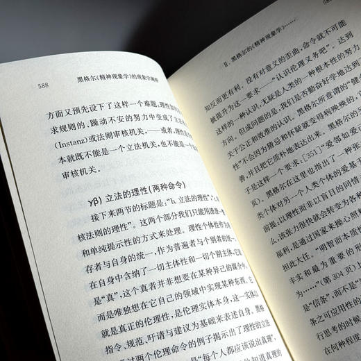 黑格尔《精神现象学》的现象学阐释 快与慢文丛 精装 商品图13