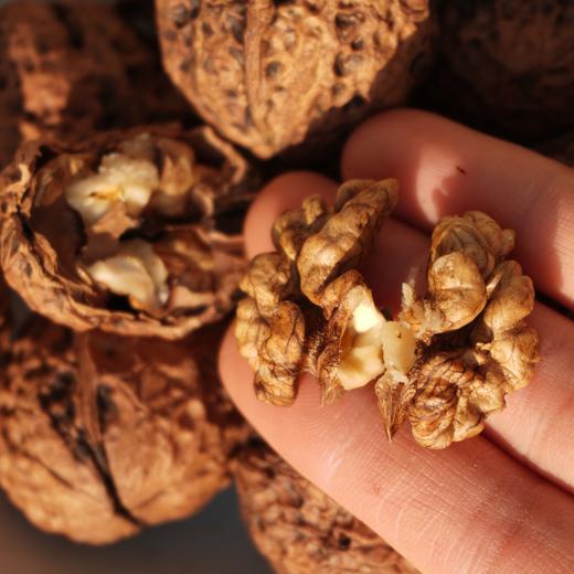 010全家福年礼 2026新年一家人的健康礼物 从早餐开始到零嘴和养生 都照顾到[果干  小米等] 商品图2