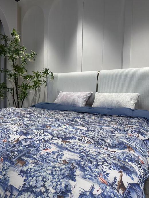 ⁴ 再也不怕冷【鹅绒子母被】两床一套 可机轻柔洗 又轻又暖让老人孩子在冬天睡个好觉 BX2272-YC04-QH 商品图6