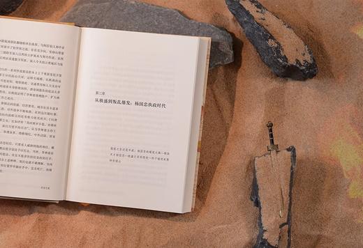 安史之乱：历史、宣传与神话（豆瓣2025年度历史·文化图书 40幅插图，深度还原安史之乱重要战事；李碧妍作序，马伯庸、罗振宇、李硕、陆大鹏、刘勃力荐） 商品图4