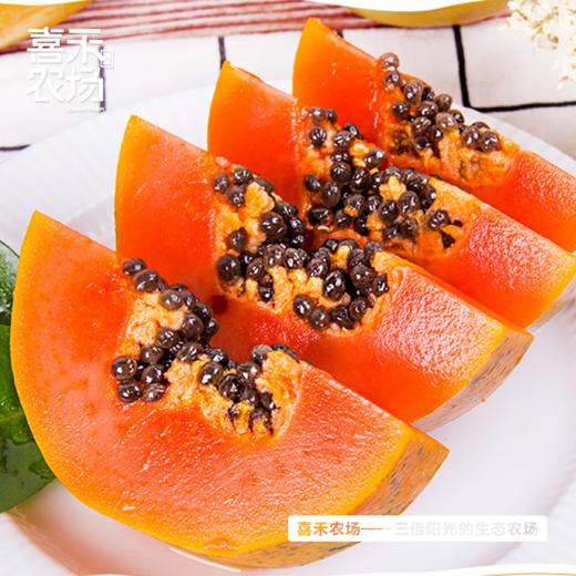 喜禾农场红心木瓜 5斤装2-3个 商品图1