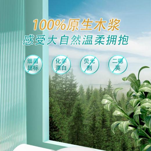 心相印卷筒纸-BT810*10卷【20021702】 商品图4