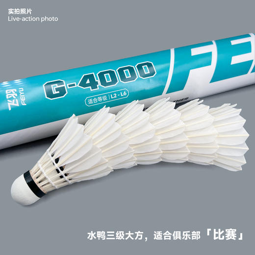 飞羽 羽毛球 训练级 优质鸭毛 青羽-G4000 商品图5