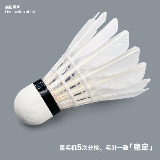 飞羽 羽毛球 训练级 优质鸭毛 粉羽-C700 商品图2