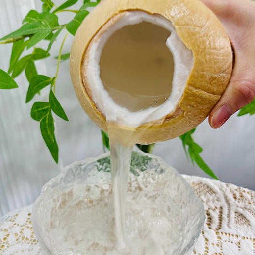 【泰国椰皇】 原产自泰国--奶香椰皇，即可喝汁水又能吃果肉，汁水清新甘甜，椰肉白润鲜嫩 商品图4