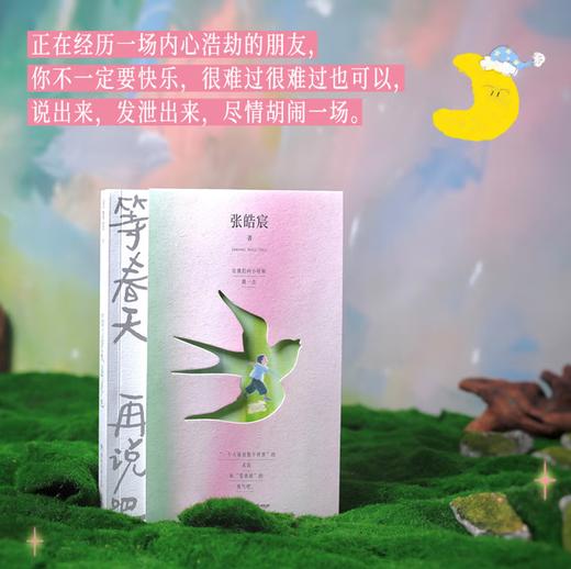 等春天再说吧（ 张皓宸2025全新随笔集。用日常微光对抗必须立刻有答案的无力与焦虑。别催了，有些事，等春天再说吧） 商品图3