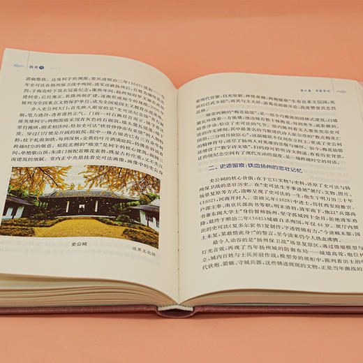 扬州传  张新科 著 商品图8