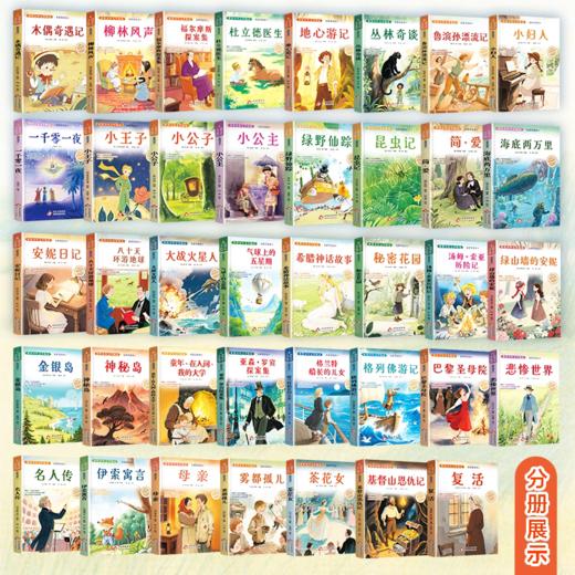 世界少年文学精选名家导读本简爱复活茶花女小妇人金银岛绿野仙踪雾都孤儿柳林风声一千零一夜地心游记杜立德医 商品图4