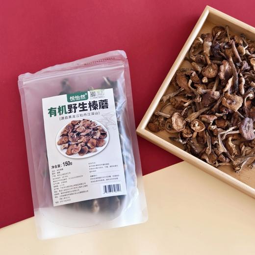 【东北野生榛蘑】东北特色野生菌 小鸡炖榛蘑  绝绝子 榛蘑自带山林滤镜蘑菇菌菇 商品图0