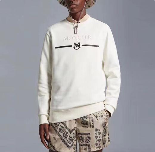 F012220手臂徽标字母logo胶印植绒男女款加绒圆领卫衣 商品图5