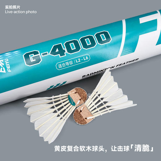 飞羽 羽毛球 训练级 优质鸭毛 青羽-G4000 商品图3
