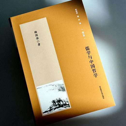 儒学与中国哲学 杨国荣著作集 增订版 商品图4