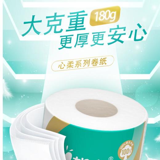 心相印卷筒纸-BT810*10卷【20021702】 商品图2