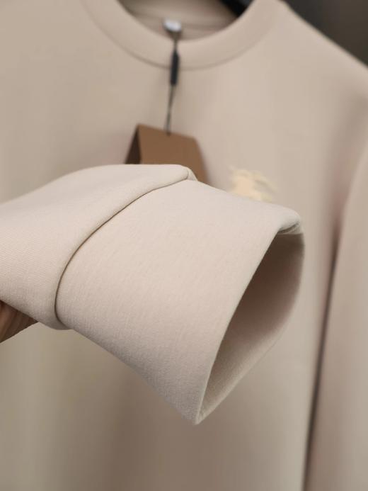 F012225胸前战马刺绣logo两色情侣款圆领卫衣 商品图11