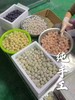 L’’买到爆💥海鲜混合丸，一包6种口味，纯手工制作真材 商品缩略图1