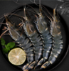 东山海鲜大礼包 鱼虾蟹三十多种不同美味海鲜 产地直发 顺丰发货【满3件包邮】 商品缩略图5