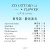 奢华款【静海流光】烟花菊1支/剑兰1支/白玫瑰6支/蝴蝶兰2朵/白桔梗10-12朵/白罗兰2支/蓬莱松2支/鸵鸟毛1支/氛围感鲜花/仪式感鲜花 商品缩略图3