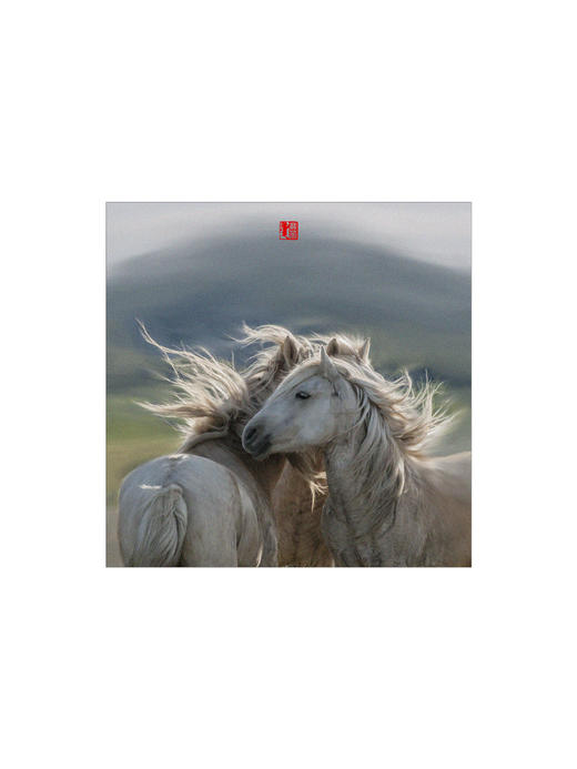 宝音丨 收藏级礼品照片 商品图2