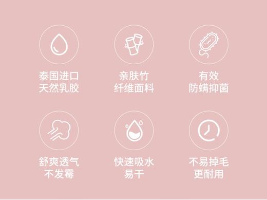 39.9元到手2条【JACE】进口乳胶填充毛巾/抗菌除螨不发霉的乳胶毛巾[一对/2条装] 商品图1