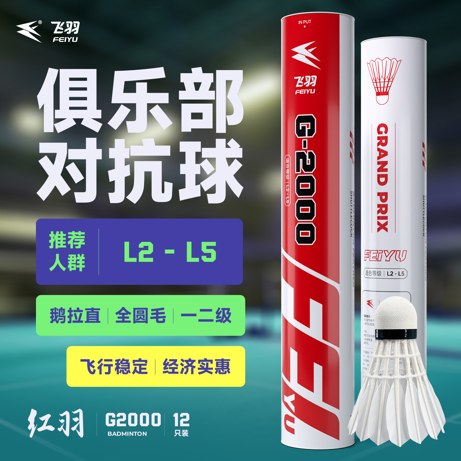 飞羽 羽毛球 比赛级 优质鹅毛 红羽-G2000