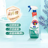 大公鸡管家（CHANTE CLAIR）马桶清洁剂625ml  除垢洁厕液洁厕灵去渍去异味 商品缩略图3