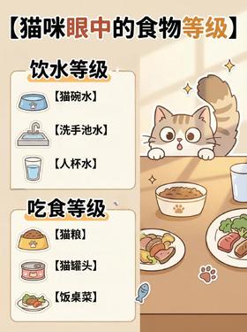 猫咪眼中的食物等级大揭秘‼