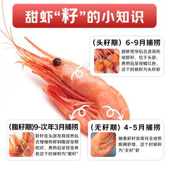 鲜生说 大号头籽北极甜虾净重3斤 120-150只/盒解冻即食 原料产地格陵兰 商品图5