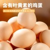 【与辉爆款】晋斋坊 叶黄素鸡蛋 黄大饱满 口感嫩滑 色泽金黄 30枚*1箱 商品缩略图3