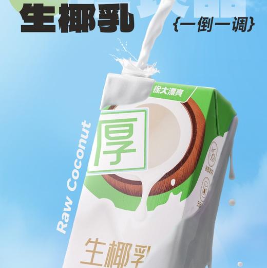 南国生椰乳 ·大容量 1L装 椰肉+椰子水黄金配比 入口清甜细腻，椰香浓郁，醇厚度约为普通椰汁的2倍 即倒即饮，30秒轻松调饮，省时省力 饮料 商品图2