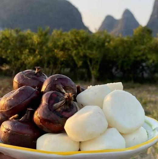 荔浦马蹄 | 有机 商品图1