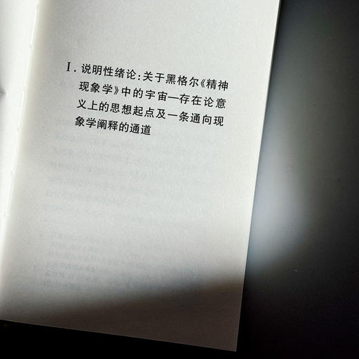 黑格尔《精神现象学》的现象学阐释 快与慢文丛 精装 商品图8