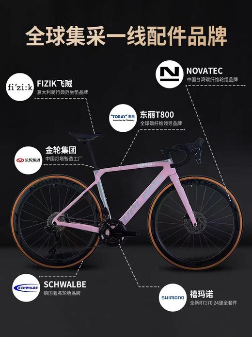 UPLAND（阿普兰）生肖兔碳纤维27.5寸油压碟刹碳纤维山地车 商品图3