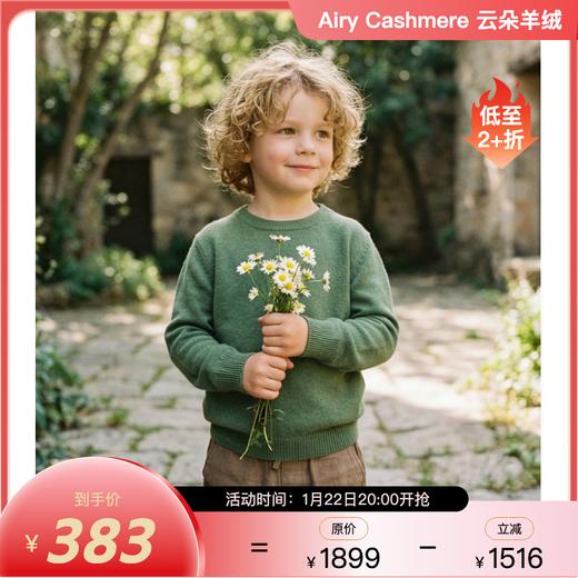 PALUOPO/PL山羊绒男童羊绒衫100%山羊绒帕罗 商品图1